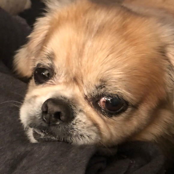 Meet your Posher, James - Picture 1 of 1